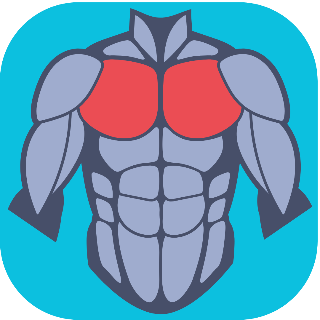 flexibilité pectoraux