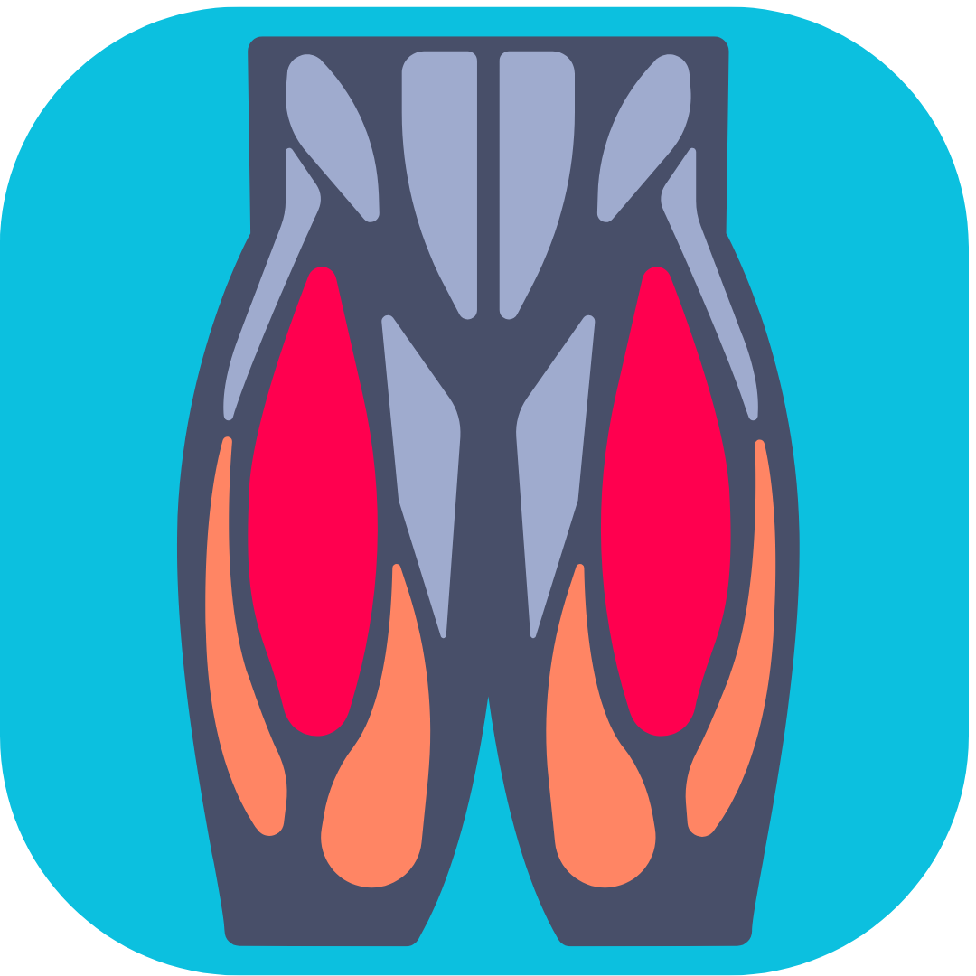 flexibilité quadriceps