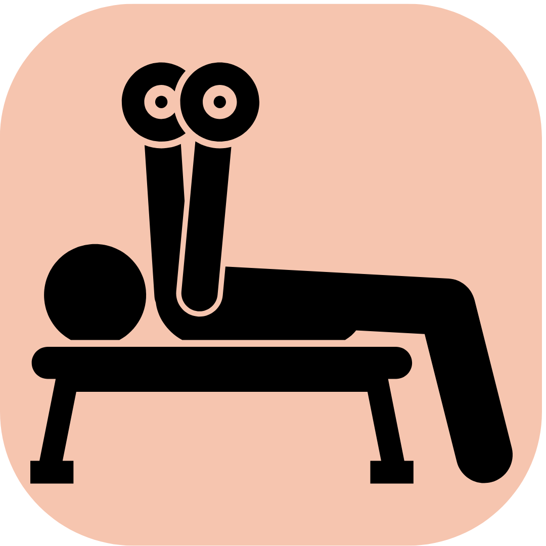 Parte superior del cuerpo 1B