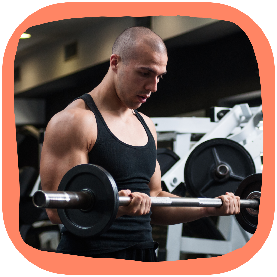 Fiche Technique : Mouvement Biceps avec Barre