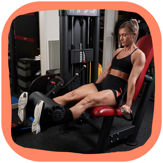 Fiche Technique : Le Mouvement Leg Extension