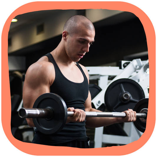 Fiche Technique : Mouvement Biceps avec Barre